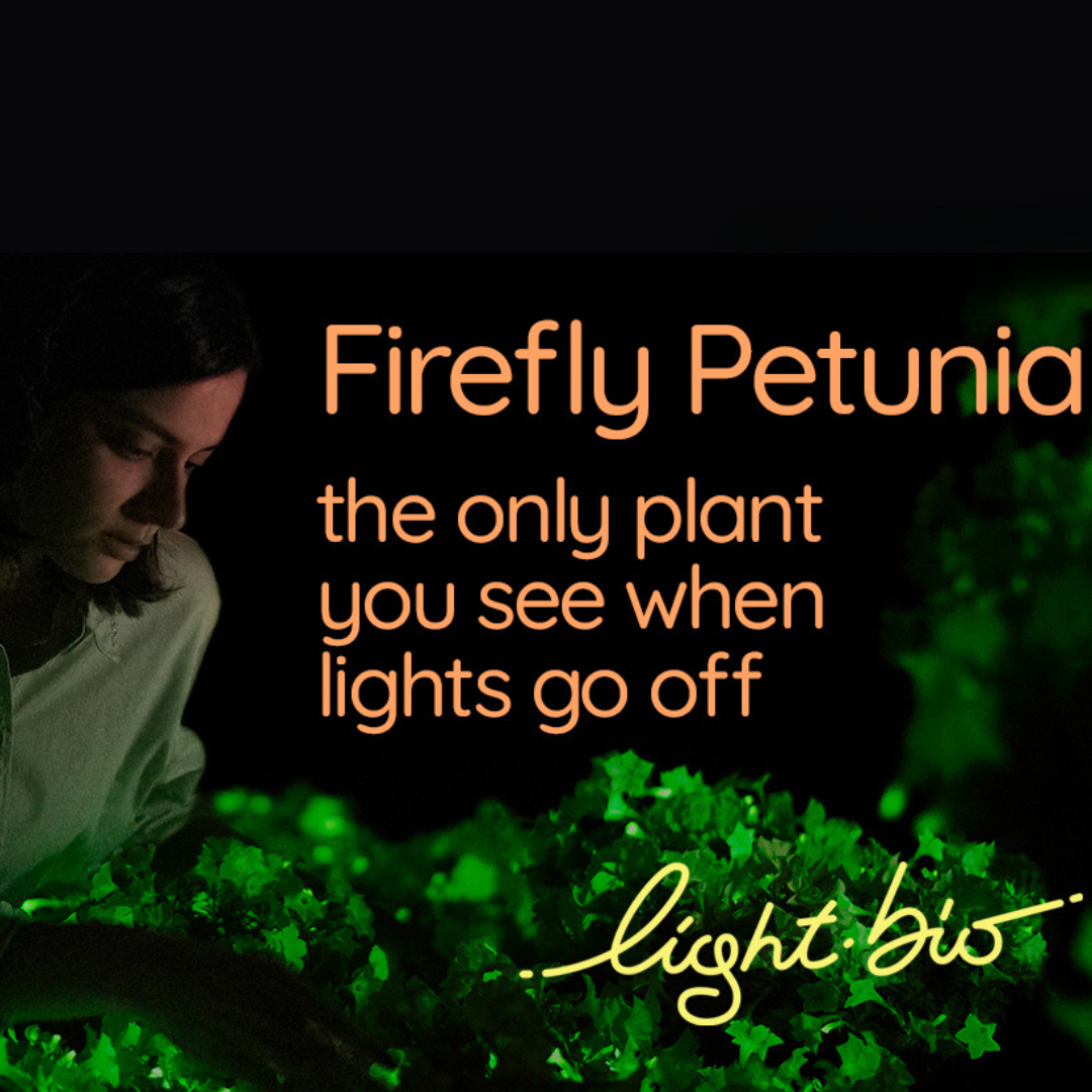 6 Glowing Plants