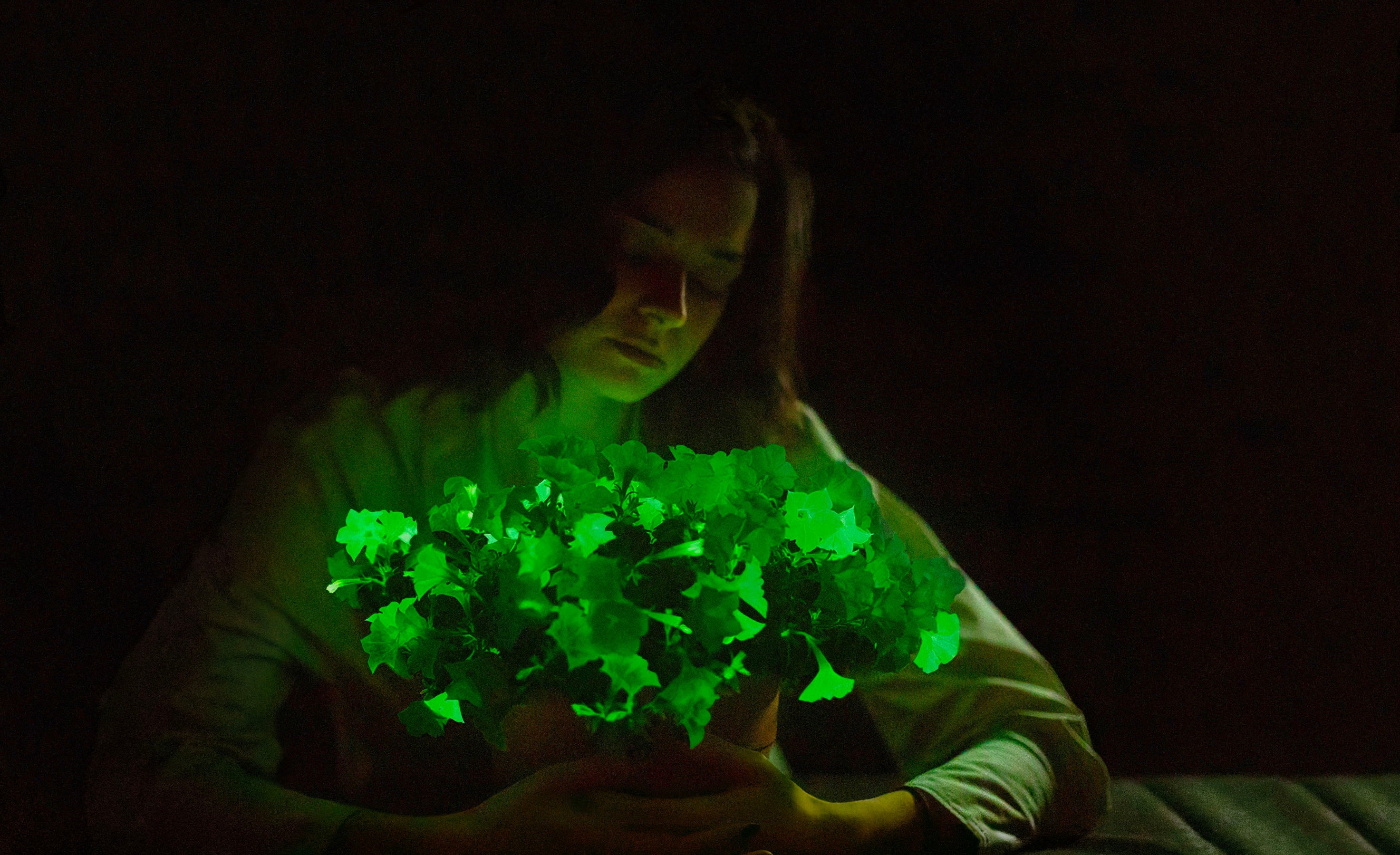 Woman admiring a glowing pot of Firefly Petunia plants in the dark – Light Bio bioluminescent innovation
