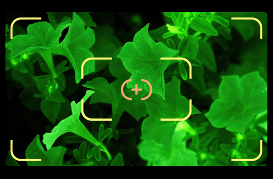 The Official Firefly™ Petunia Photos Are Photoshopped