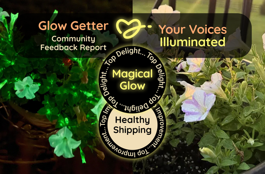 Illuminating Your Feedback