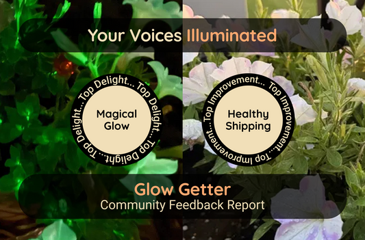 Illuminating Your Feedback: What Our Glow Getter Taught Us About the FireflyTM Petunia