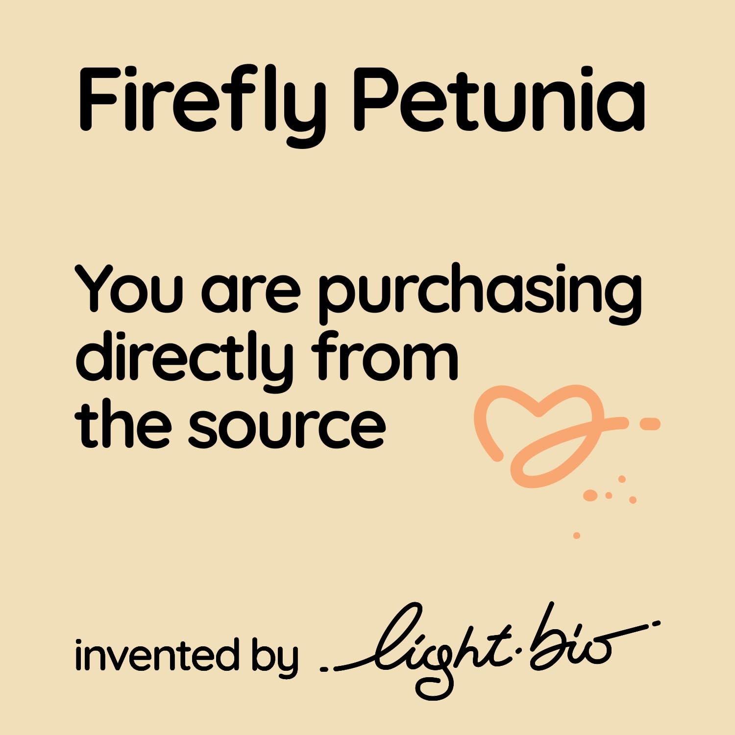 Firefly Petunia – 1 Glowing Pack