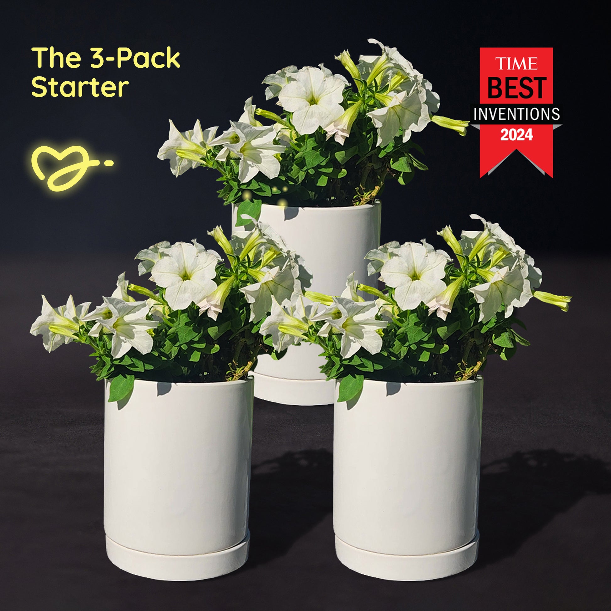 clearance pots for plants The Great Glow-Out Clearance – Light Bio