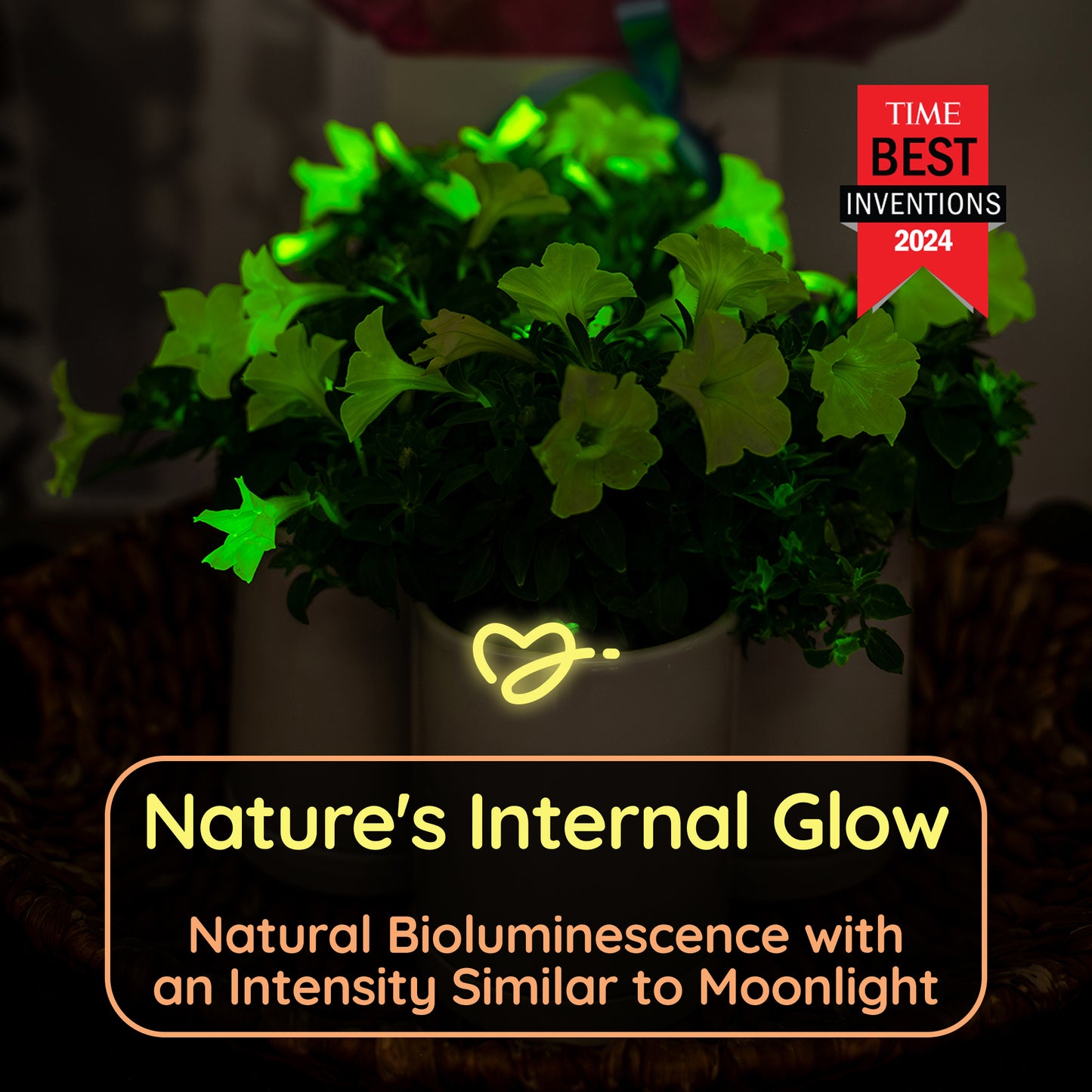 The Great Glow-Out Clearance