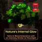 The Great Glow-Out Clearance