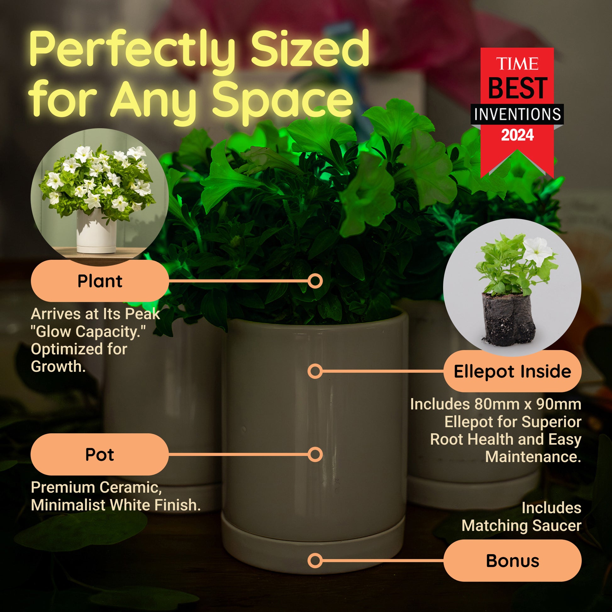 1.4 quart plant pot The Great Glow-Out Clearance – Light Bio