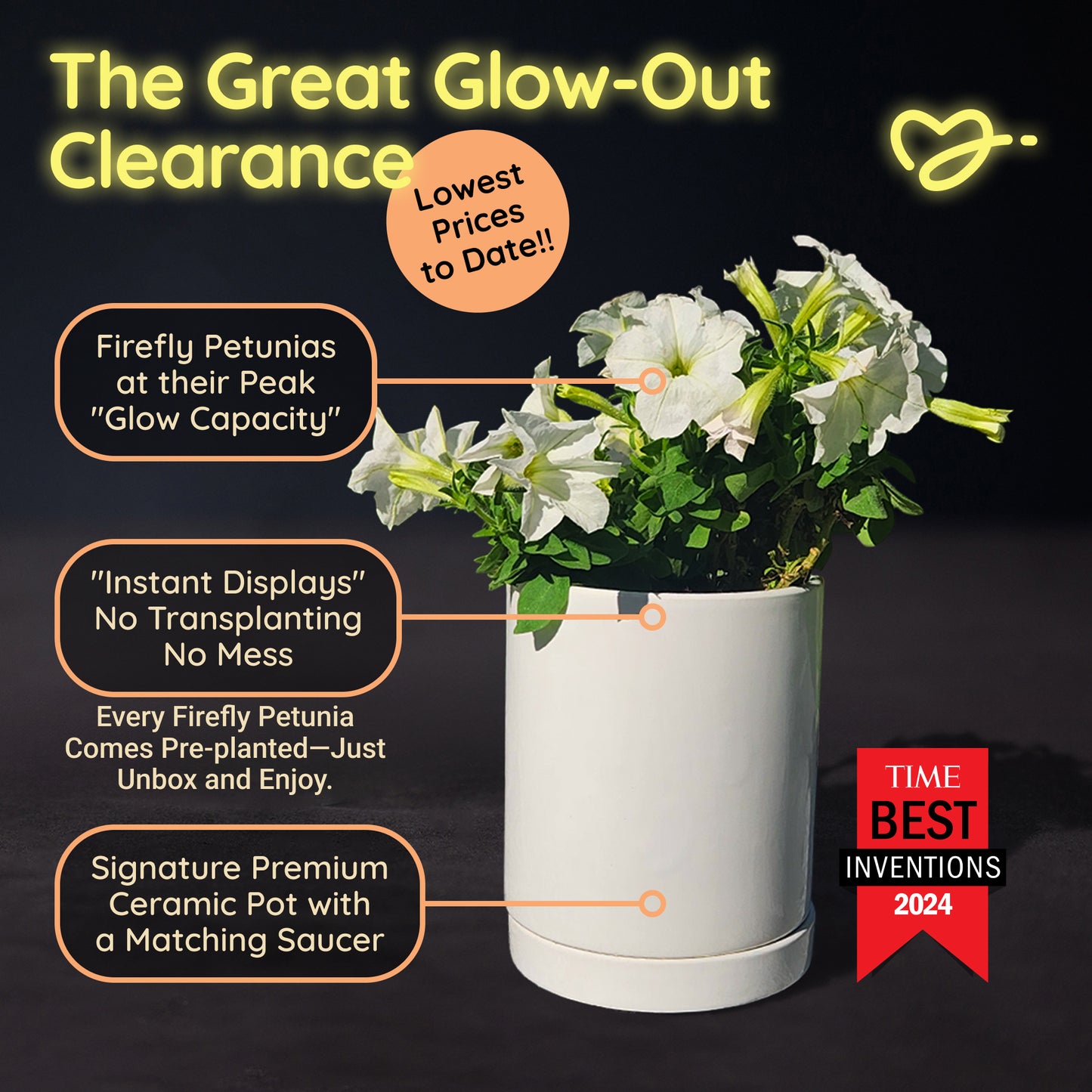 The Great Glow-Out Clearance