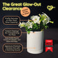 The Great Glow-Out Clearance