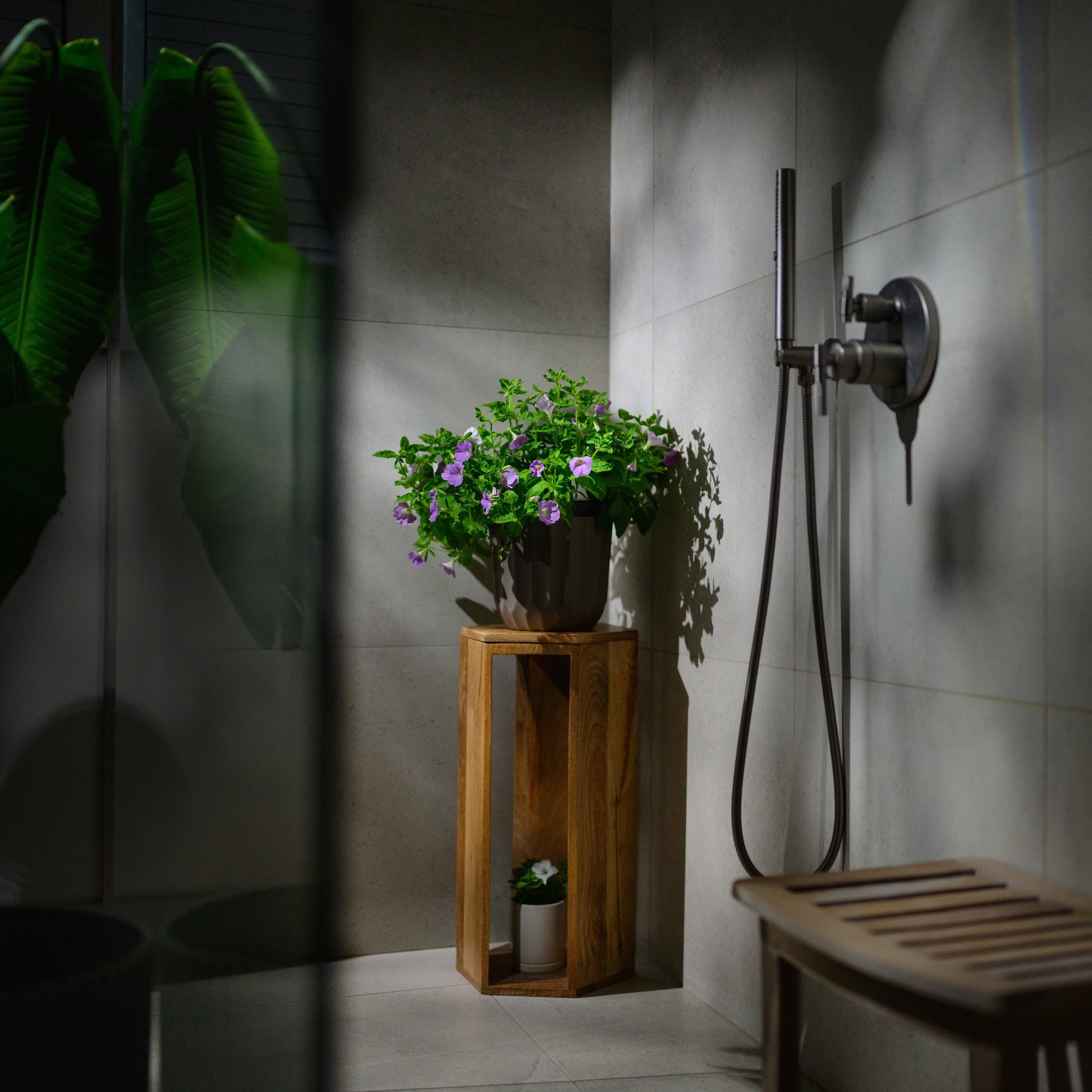 Potted Trial Pink Petunia on a wooden stand in a shower corner with a small Firefly Petunia below.