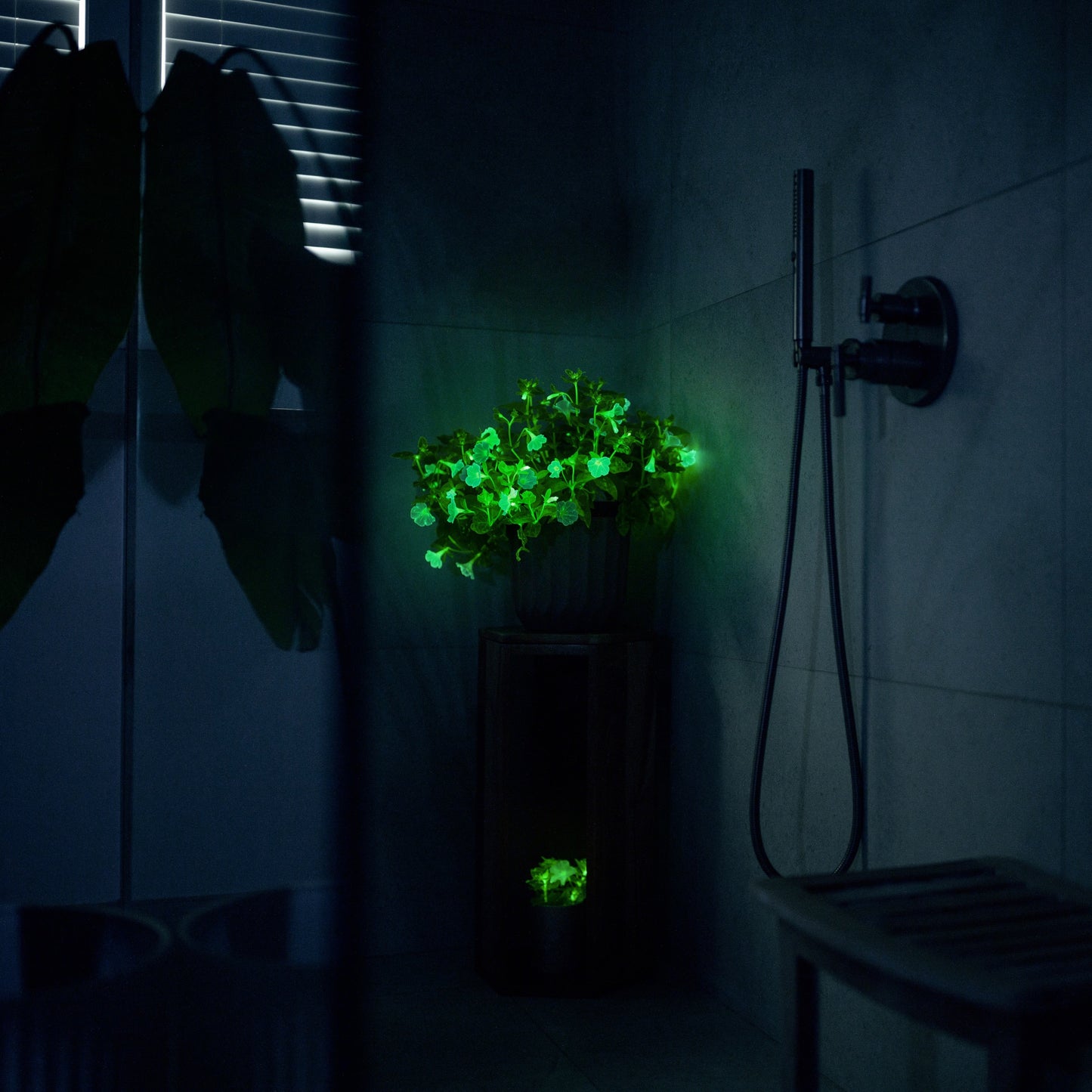 Glowing potted Trial Pink Petunia on a wooden stand in a shower with a smaller glowing Firefly Petunia below it.