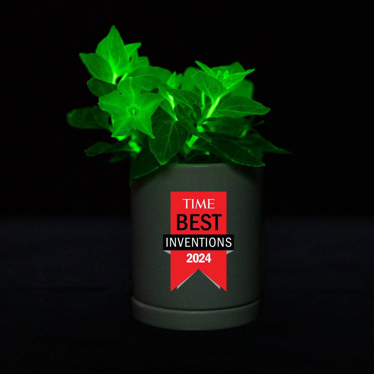 Glowing Firefly Petunia in a premium pot and saucer with a 'TIME Best Inventions 2024' label.