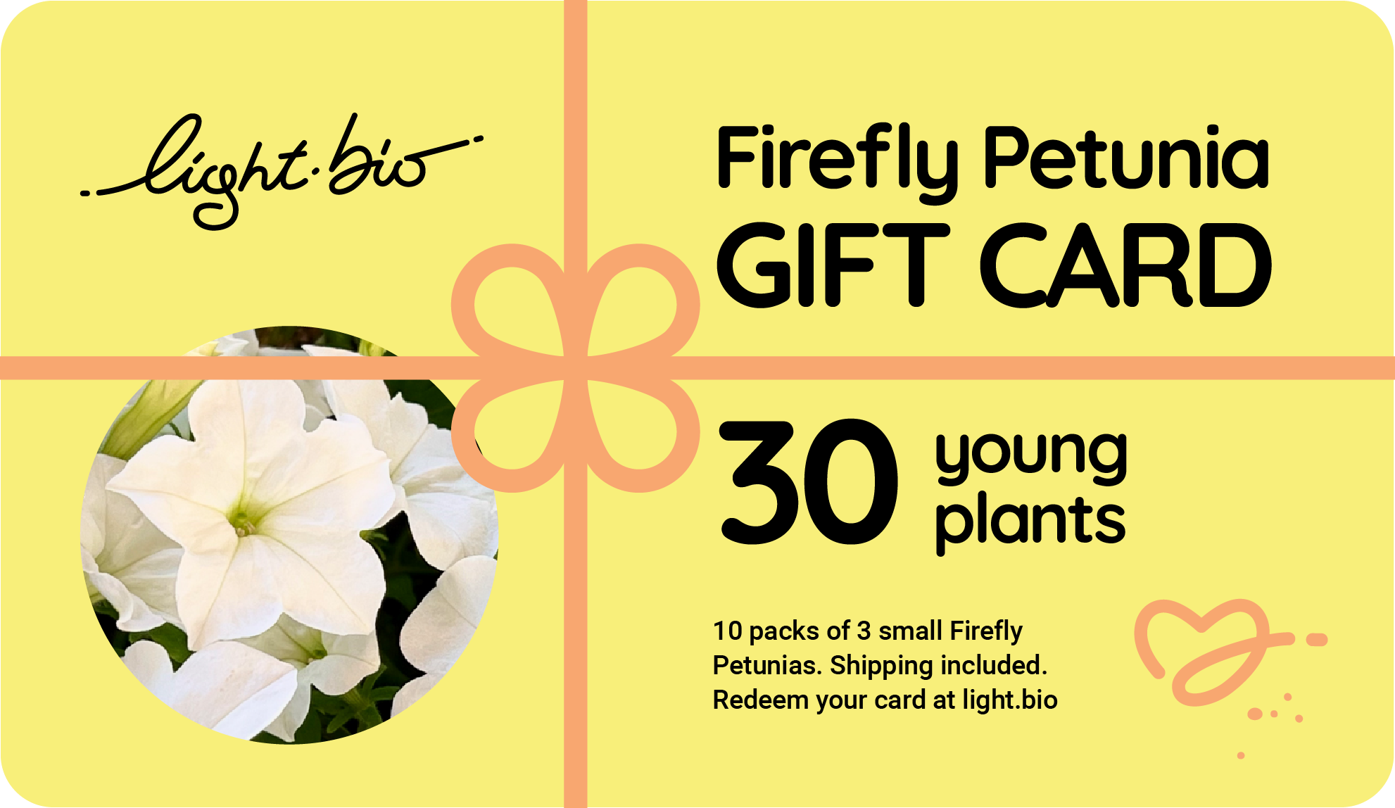 Gift Firefly Petunias!