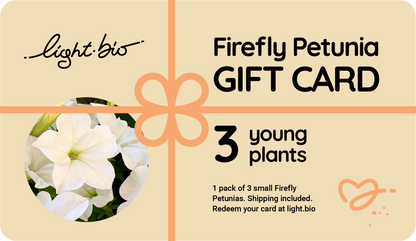 Gift Firefly Petunias!
