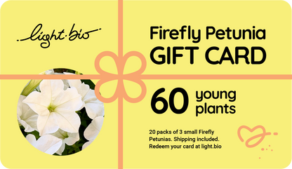 Gift Firefly Petunias!
