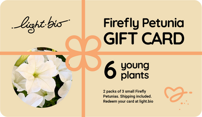 Gift Firefly Petunias!