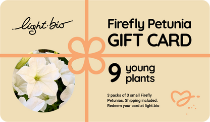 Gift Firefly Petunias!