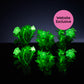 Six Trial Pink Petunias in compostable liners glowing in the dark with a "Website Exclusive" badge.