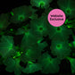 Close-up of glowing Trial Pink Petunia blossoms with a "Website Exclusive" badge.