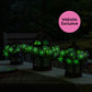 Three wooden lanterns with glowing Trial Pink Petunias on an outdoor table and a "Website Exclusive" badge.